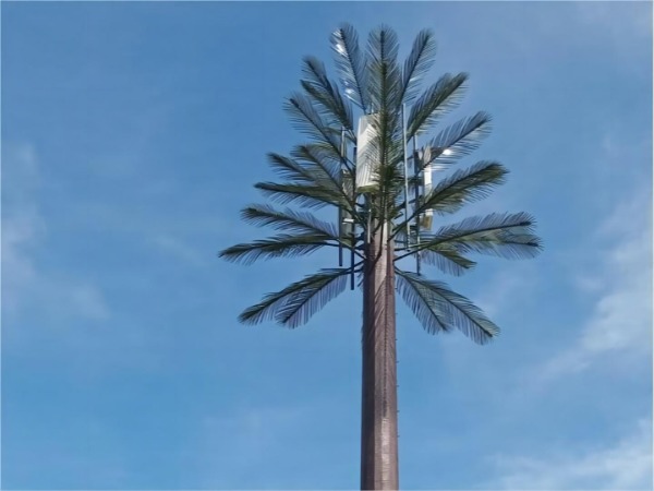 palm monopole