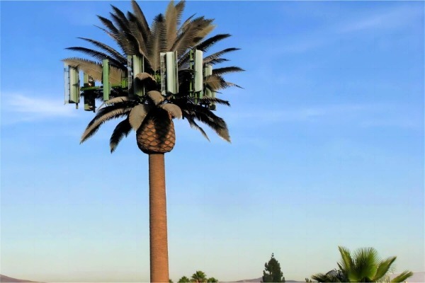 Palm Tree Tower 