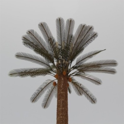 palm tree tower