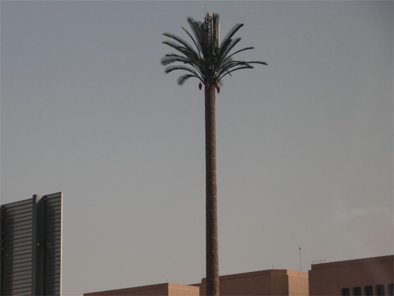 Camouflaged Palm Tree Tower Exporting to Saudi Arabia