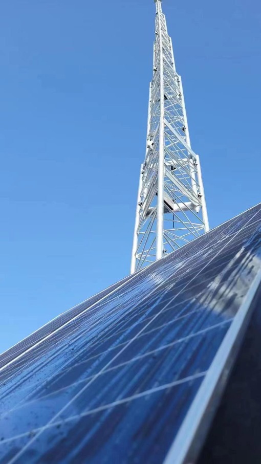 solar panel and cow