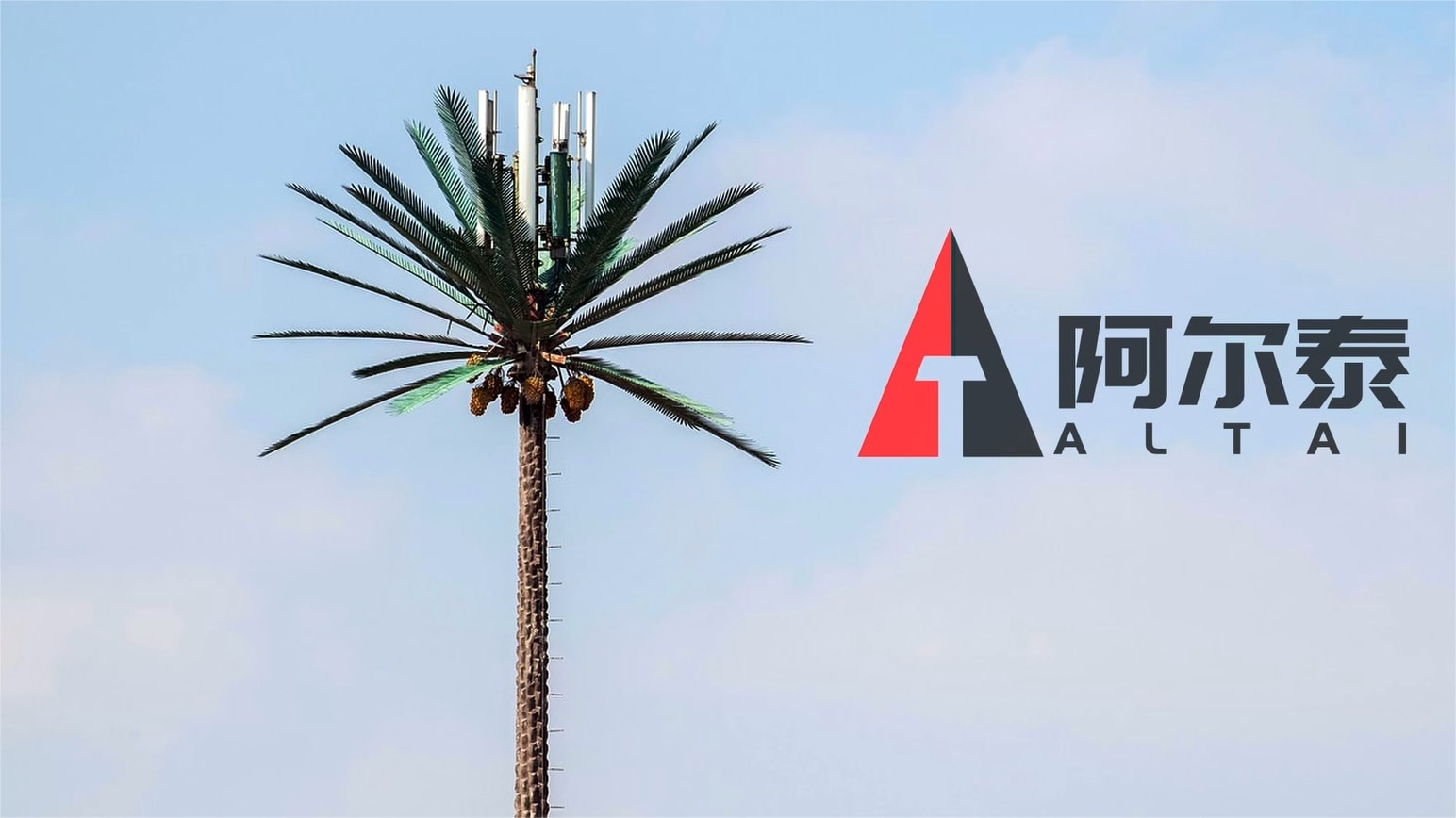 teleco tree tower