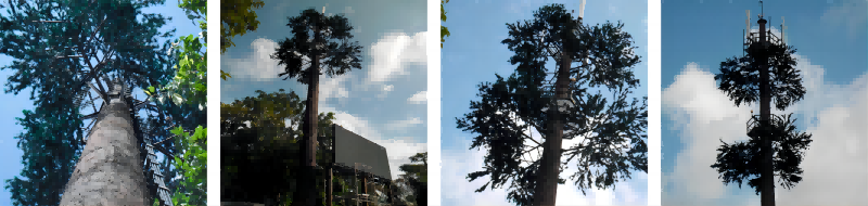 pine tree tower