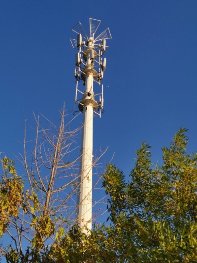 antenna and microwave