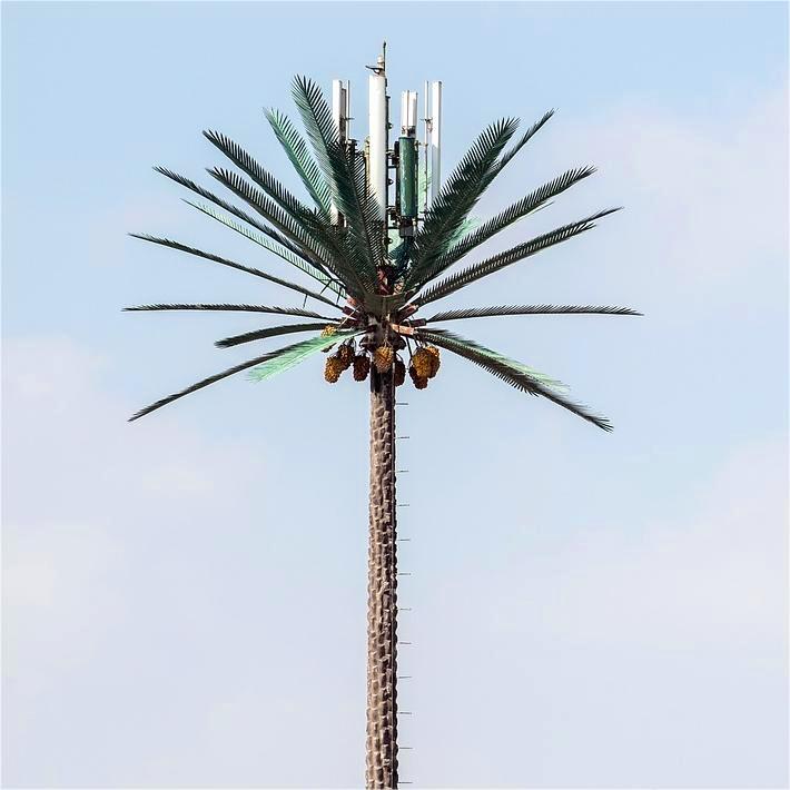telecom palm tree telecom tower