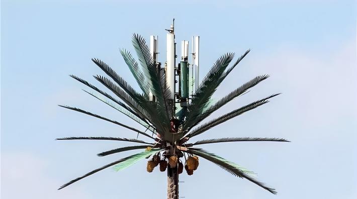 telecom palm tree monopole