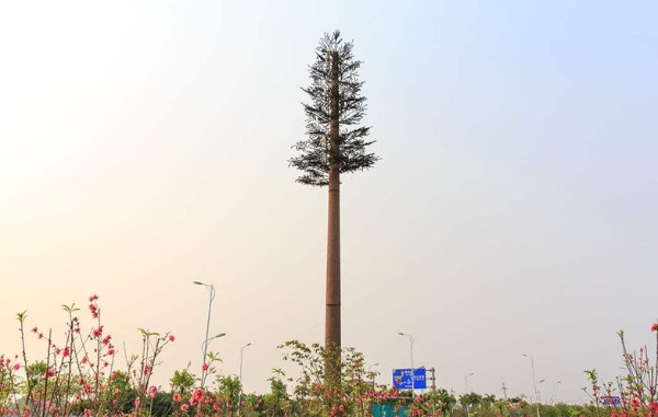 pine tree telecom tower