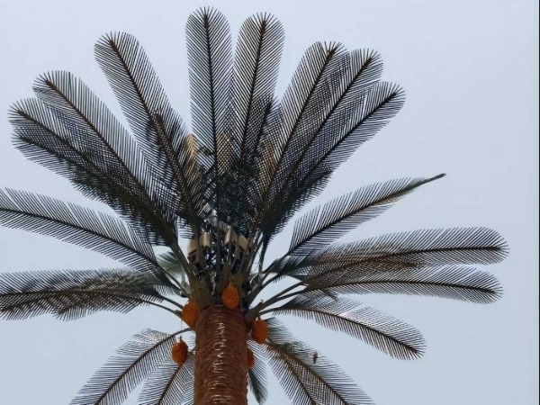 palm tree tower