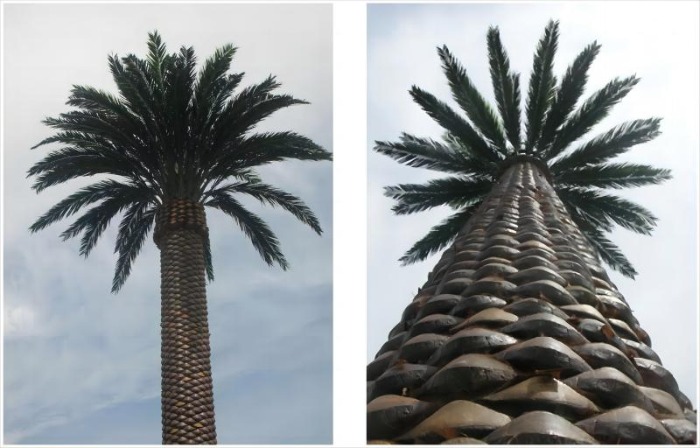 palm tree tower