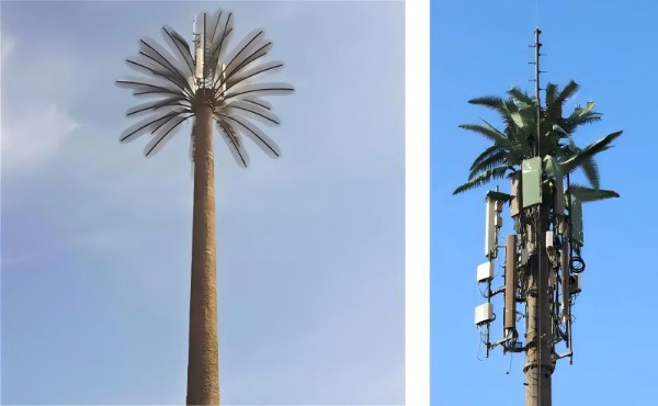palm tree tower