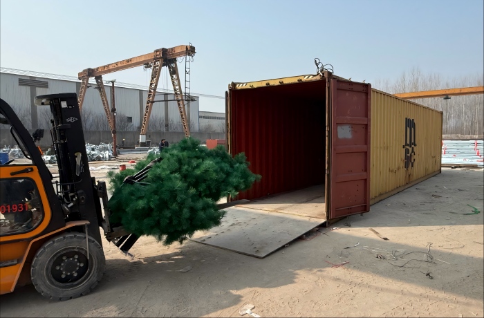 monopine telecom tower