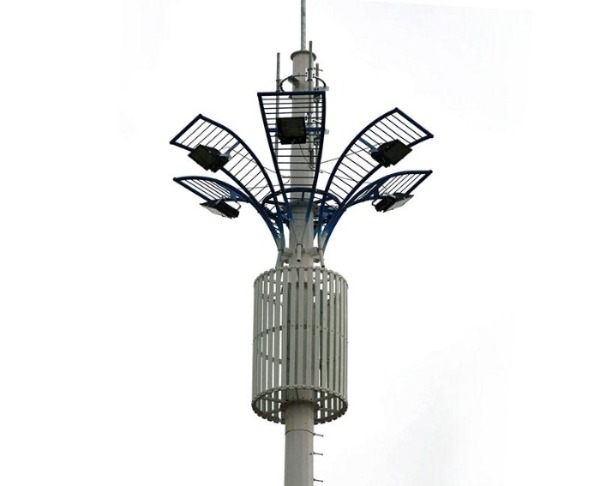 telecommunication monopole