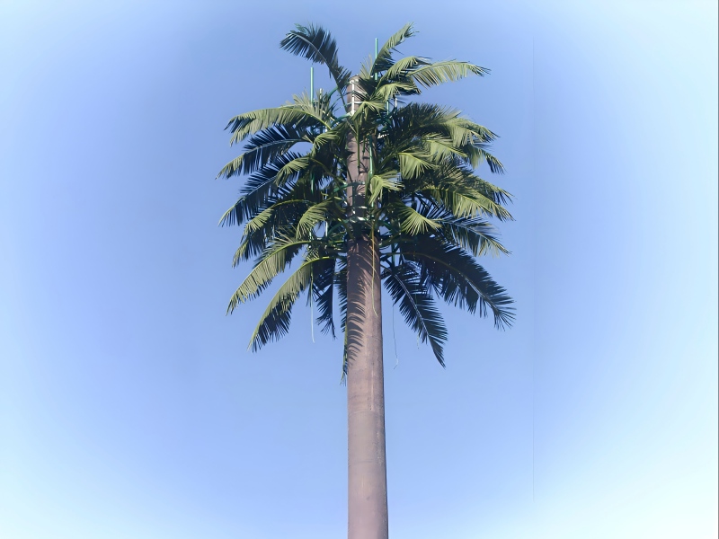 Camouflage Palm Tree Monopole Tower Export to Morocco