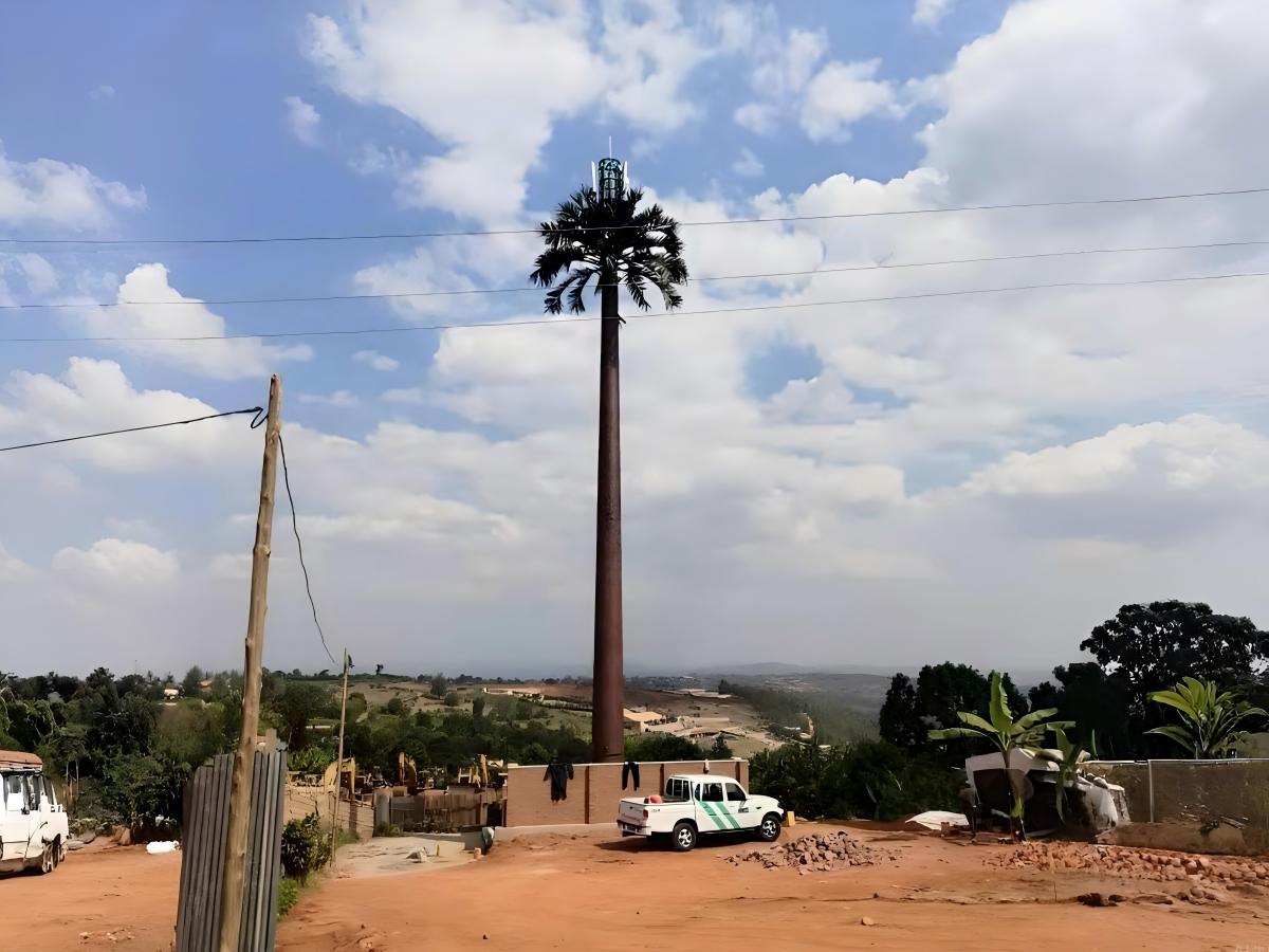Palm Tree Monopole exported to Rwanda Officially Put into Use