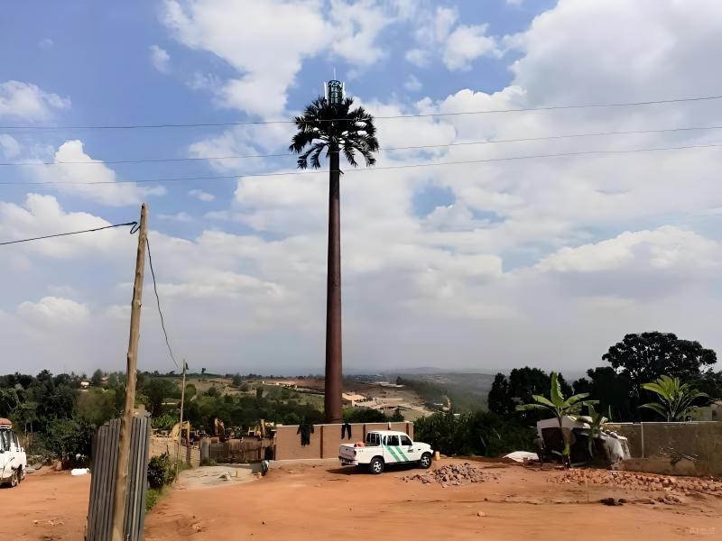 Palm Tree Monopole Exported to Rwanda